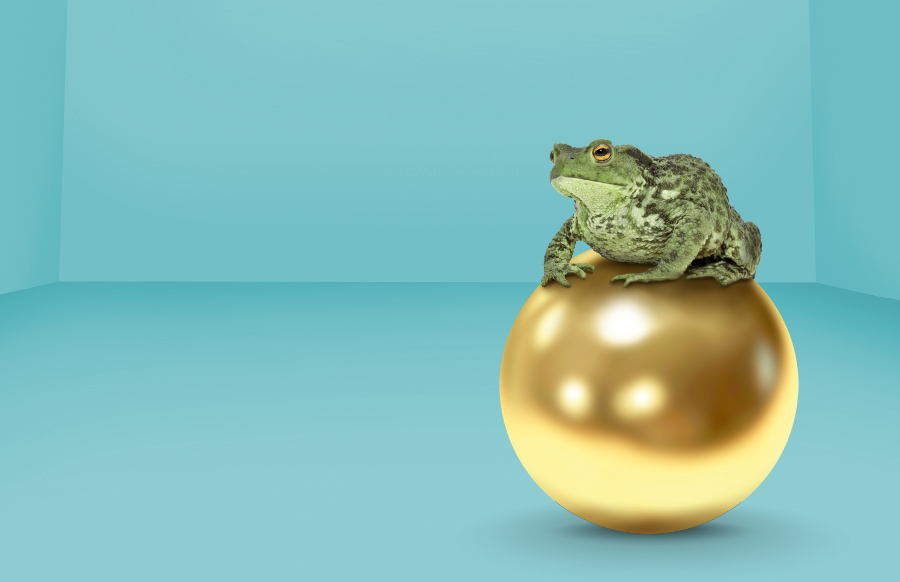 bbbank_wunschkredit_kroete
